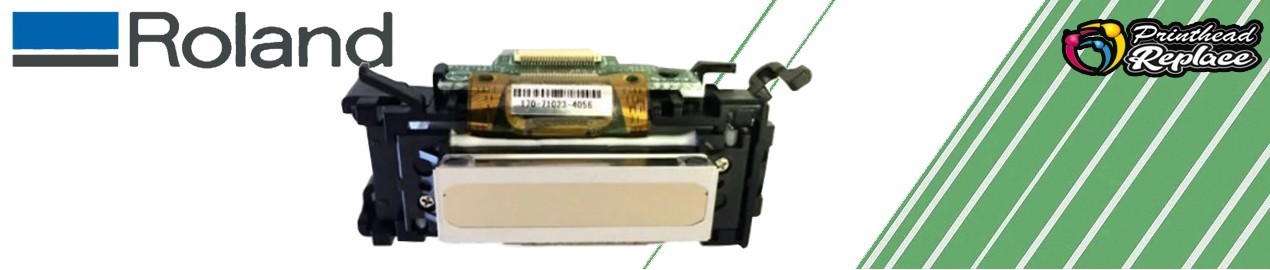 Roland Printhead